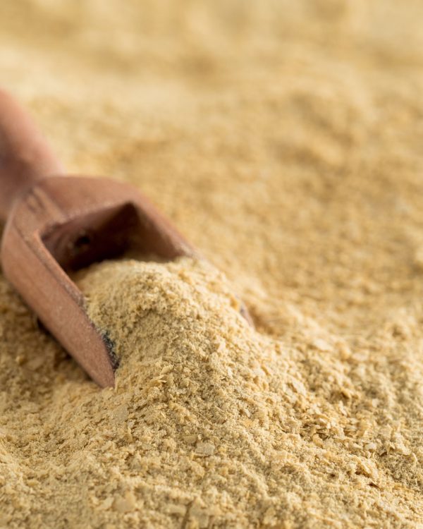 Nutritional inactive yeast top view